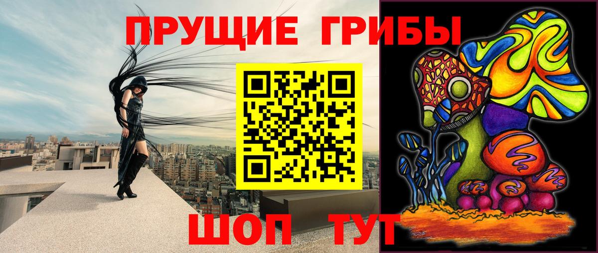 Псилоцибиновые грибы прущие грибы Асбест